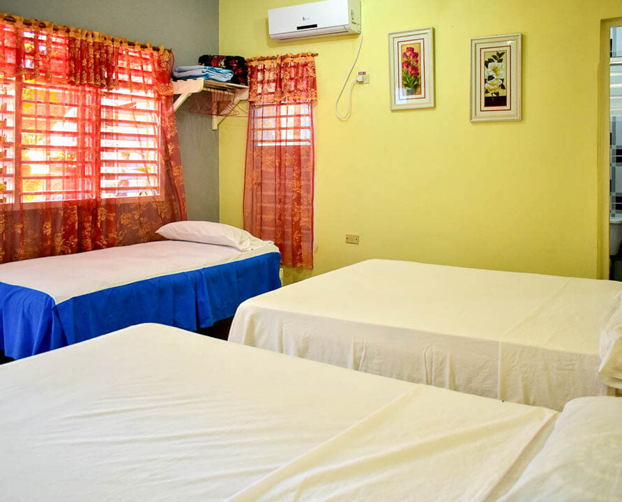 Villa Los Buenos Viñales Accommodation. B&B Casa Particular