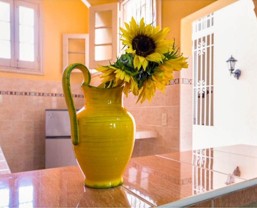 Miriam y Sinai, Apartment, Vacation Rental