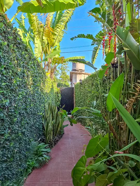Casa Herenia y Pedro - Entrance, Viñales Casa Particular