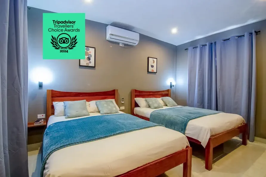 Casa Herenia y Pedro – Room 2