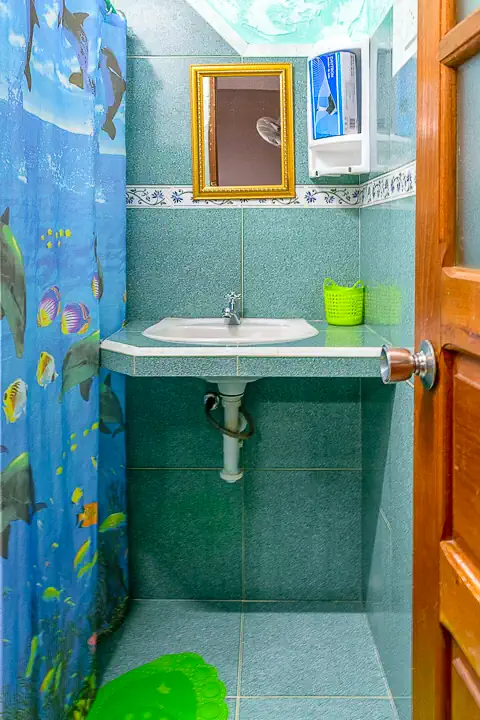 Casa Aracely - Room 1, Bath, Viñales Guest House