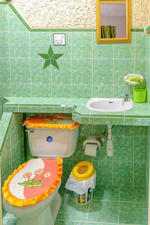 Casa Aracely - Room 3, Bath, Viñales Guest House