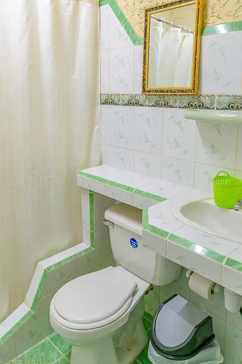 Casa Aracely - Room 4, Bath, Viñales Guest House
