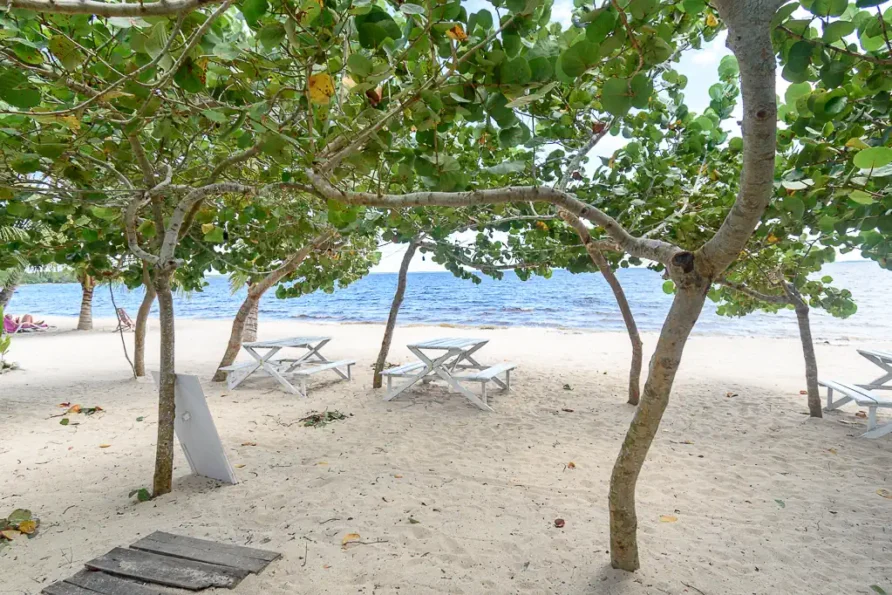 Casa Zuleida y Vinola – Room 1